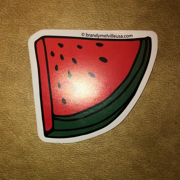 RARE BRANDY MELVILLE WATERMELON SLICE STICKER - Picture 2 of 2